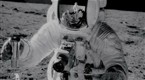 For All Mankind: An Accidental Gift: The Making of "For All Mankind"