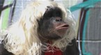 MANswers: Episode 10 (season 2, episode 10)