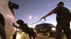 Border Wars: The Unexpected Smuggler