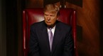 Celebrity Apprentice
