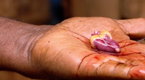 Expedition Week: Swallowing a Beating Heart