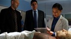 Law & Order: LA