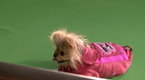 The Real Housewives of Beverly Hills: Giggy's Gettin' Ready for Summer