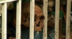 Taboo: Touching Death (season 5, episode 2)