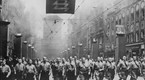 WWII: History Remembered: The Hitler Conspiracies