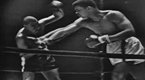 PBS Indies: Muhammad Ali: Made in Miami