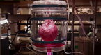 Explorer: How to Build a Beating Heart  (season 7, episode 4)