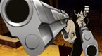 Soul Eater: The Perfect Boy - Death the Kid's Magnificent Mission? (season 1, episode 3)