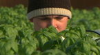 Editor's Picks: Veterans Find New Work On the Farm