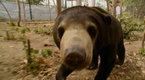 Before It's Too Late: Cambodia: Beyond the Killing Fields (season 1, episode 14)