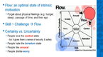 FORA.tv Technology: In the Flow: How Games Keep You Motivated