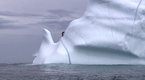 Expedition Week: Climbing Icebergs