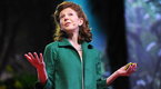 TEDTalks: Pamela Meyer: How to Spot a Liar