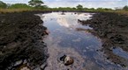 Explorer: The Tar Pit
