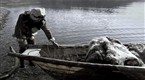 Inuit Odyssey