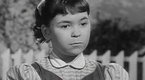 Father Knows Best: Adopted Daughter (season 2, episode 36)