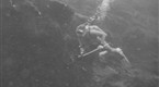 Sea Hunt: The Manganese Story (season 1, episode 39)