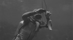 Sea Hunt: Decoy (season 1, episode 37)