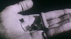 WWII: History Remembered: Cover Up: Norway's Nazi Secret