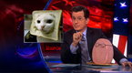 The Colbert Report: Thu, Feb 2, 2012 (season 8, episode 55)