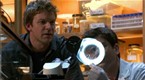 The Glades