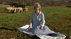 Simple Living With Wanda Urbanska: Greening the “Sunflower House”, Part 1 (season 4, episode 11)