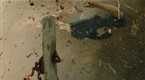 Rambo: Gruesome Attack