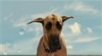 Clip - Marmaduke Shreds