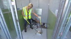 The World According to Paris: Dog Shelter, Part 2