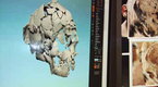 Naked Science: An Ancient Human Skull