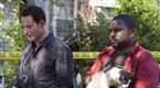 K-Ville: Ride Along (season 1, episode 10)