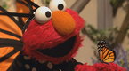 Sesame Street: Song: Little Butterfly Friend