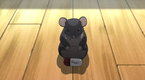 No. 6: Good and Evil (season 1, episode 4)