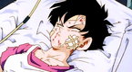 Dragon Ball Z: Identities Revealed (season 7, episode 218)