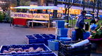 Cooking Up A Story: The Farmers Market from a Farmers Perspective 