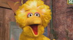 Sesame Street: Song: Big Bird Sings "Happy to Be Me"