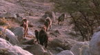 National Geographic News: Can Baboons Read?