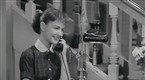 The Donna Reed Show: Love's Sweet Awakening (season 2, episode 36)