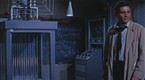 The Fly: Teleporting the Cat
