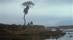 Quest for Fire: Stuck In Tree