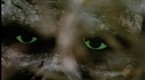 Swamp Thing: The Hunt (season 1, episode 19)