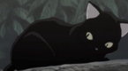 Peacemaker: Battle Formation (season 1, episode 21)