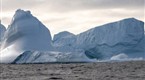 Art from the Arctic
