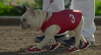 AdZone: Skechers: GOrun Mr. Quiggly