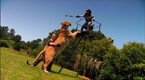 Big Cat Week: Ultimate Cat (season 1, episode 1)