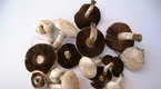 Howdini: How to Slice Mushrooms