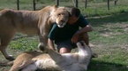 Animal Allies: Episode 9 (season 2, episode 9)