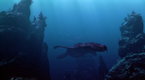Dinosaurs: Giants of Patagonia