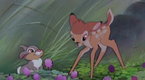FlickMojo: Top 10 Animated Disney Films