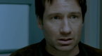 The Secret (2008)